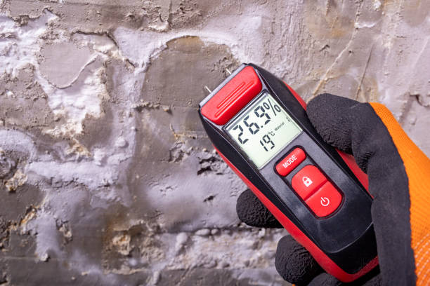 Water Damage Restoration in Blooming Prairie, MN